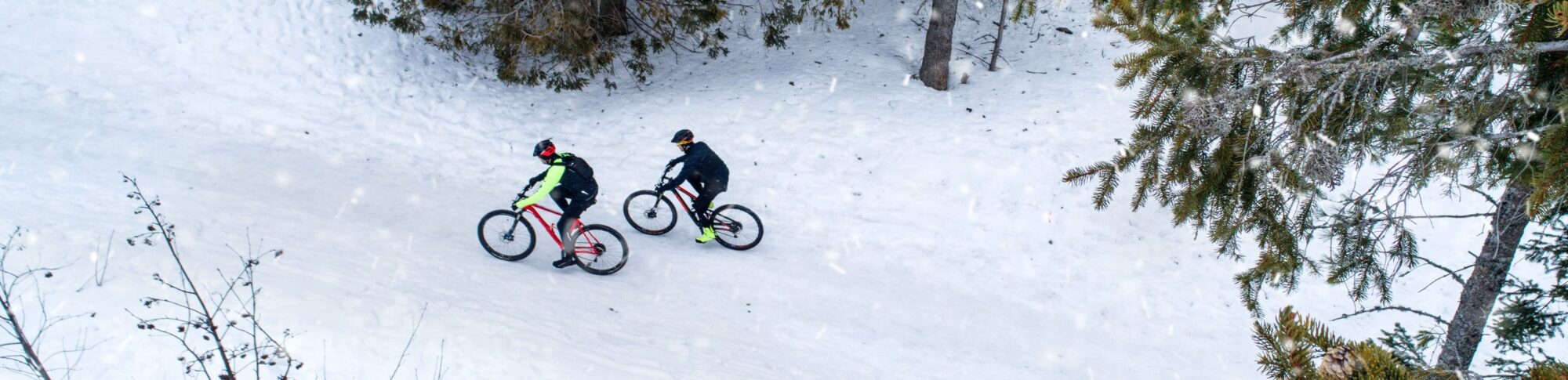 Alpine Cardiology Biking in the snow